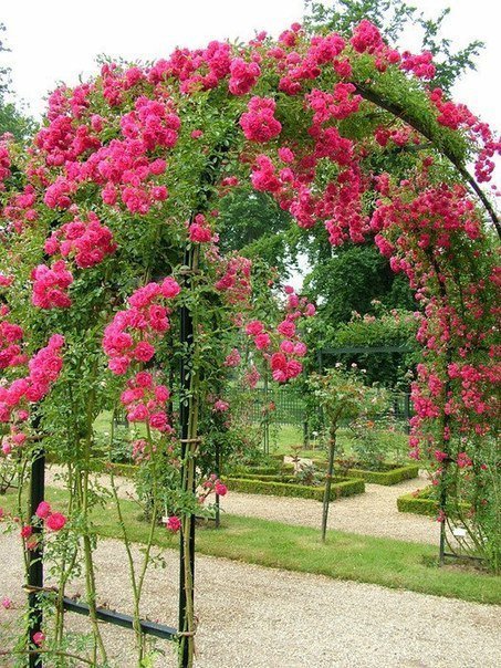 7989 - цветы - оригинал