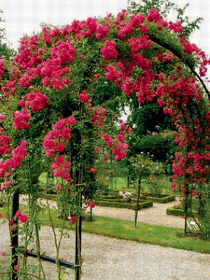 7989 - цветы - предпросмотр