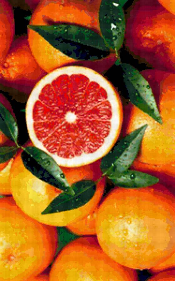 апельсины - предпросмотр