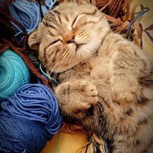 Схема вышивки «Котик в нитках»