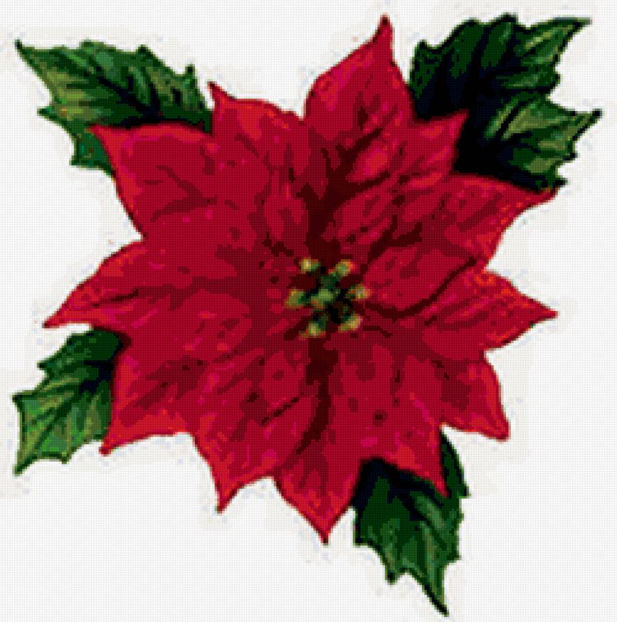 1 - предпросмотр