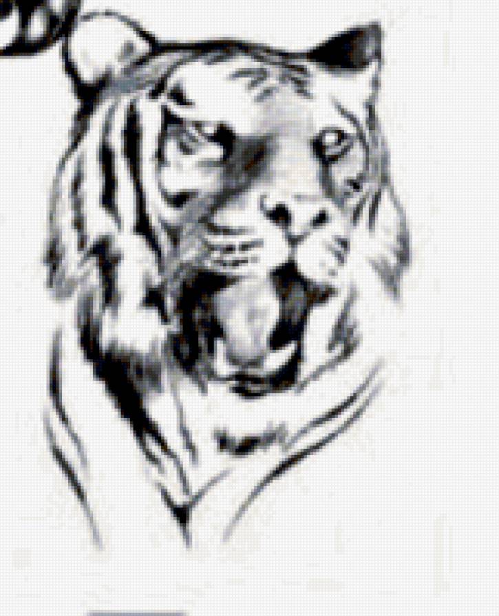 Красавчик - тигр - тигр, животные - предпросмотр