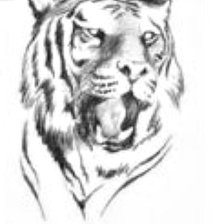 Схема вышивки «Красавчик - тигр»