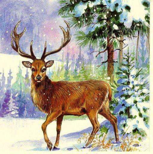 Олень - олень, животные - оригинал