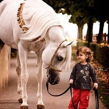 Схема вышивки «девочка с лошадкой»