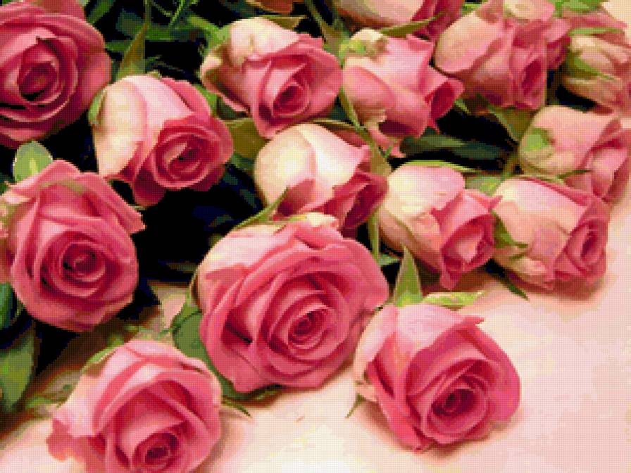 87687653 - цветок, чувства, роза, романтика, розы, цветы, букет - предпросмотр