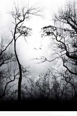 Единство - единение, глаза, природа - оригинал