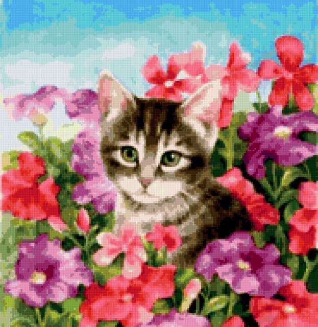 Киса - котенок, котик, небо, цветы - оригинал