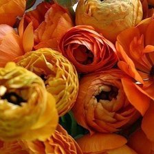 Схема вышивки «№197887»