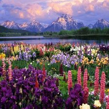 Схема вышивки «№197892»