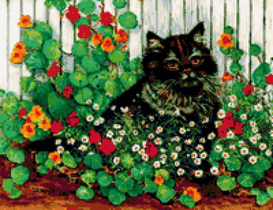 Чорний кот - кот, цвети - предпросмотр