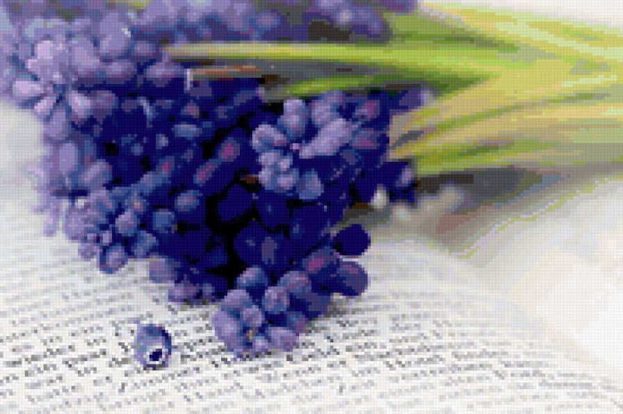 №197896 - предпросмотр