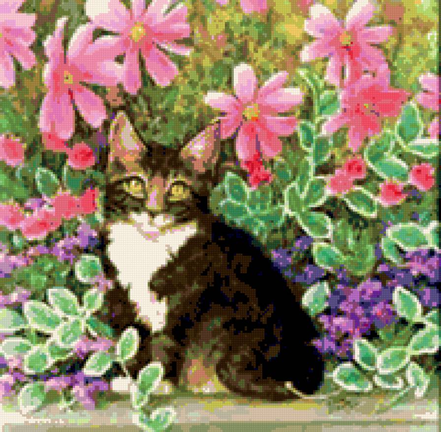 Киса в цветах - кошка, катенок, киса, кот - предпросмотр