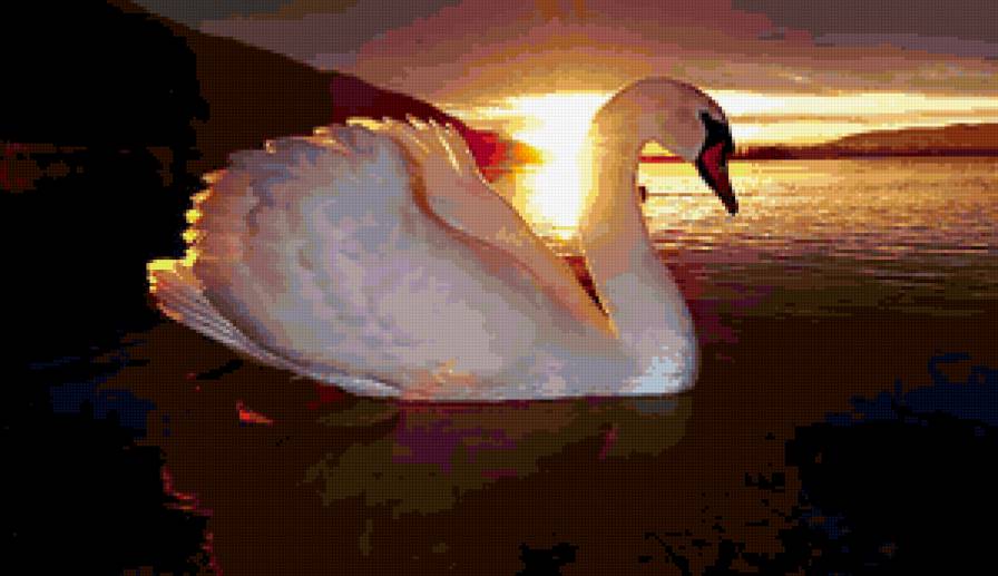 №197975 - искусство, картина, животные, лебедь, живопись - предпросмотр