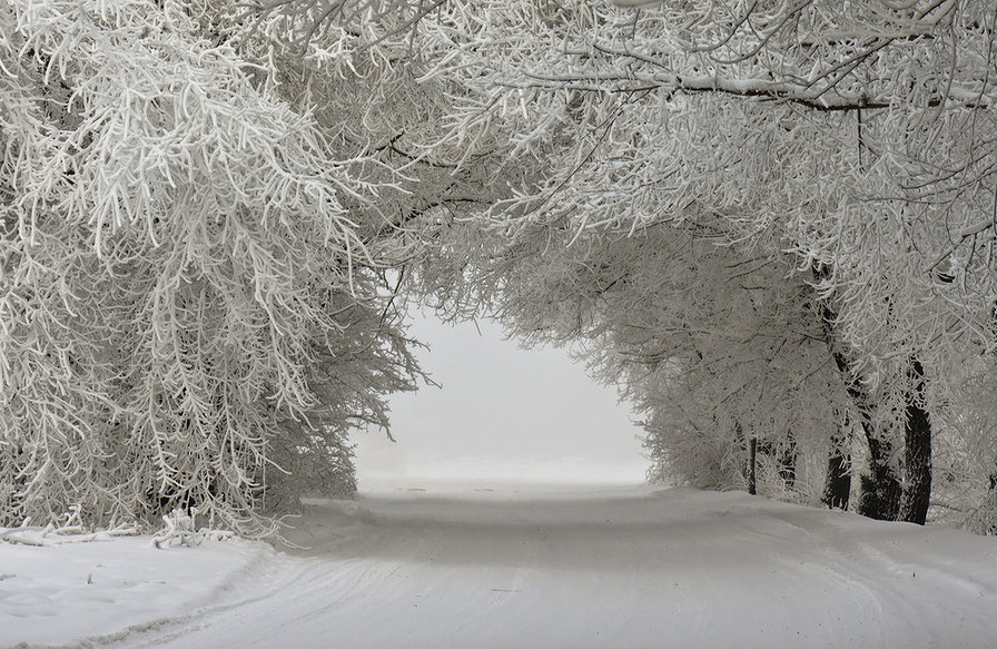 зима - портал, зима, снег - оригинал