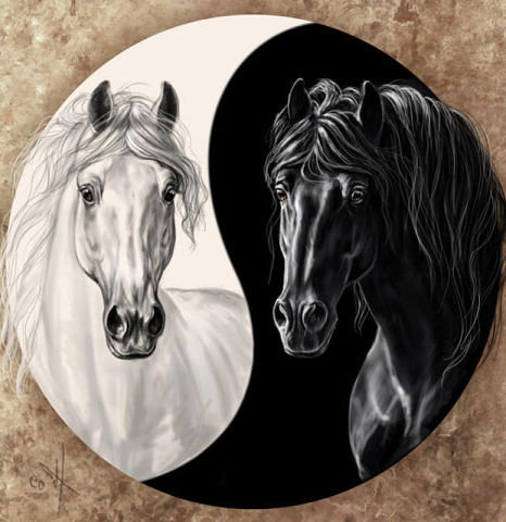 628 - животные - оригинал