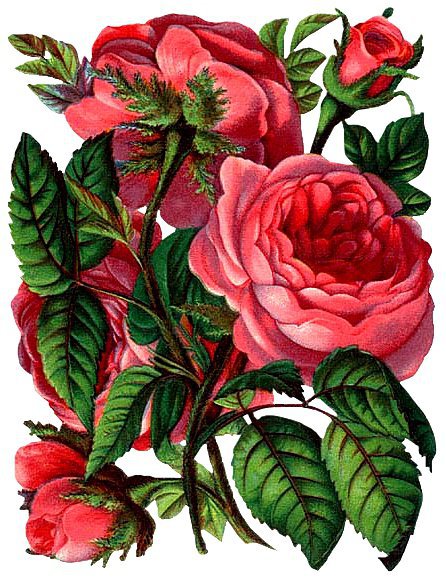 629 - цветы - оригинал