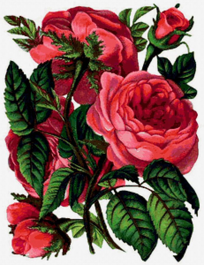 629 - цветы - предпросмотр