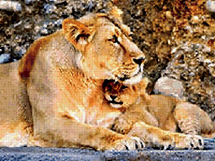 семья - предпросмотр