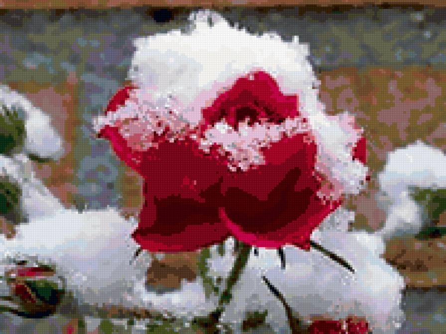 19 - предпросмотр