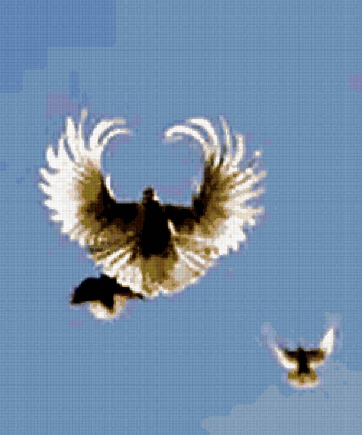 20 - предпросмотр