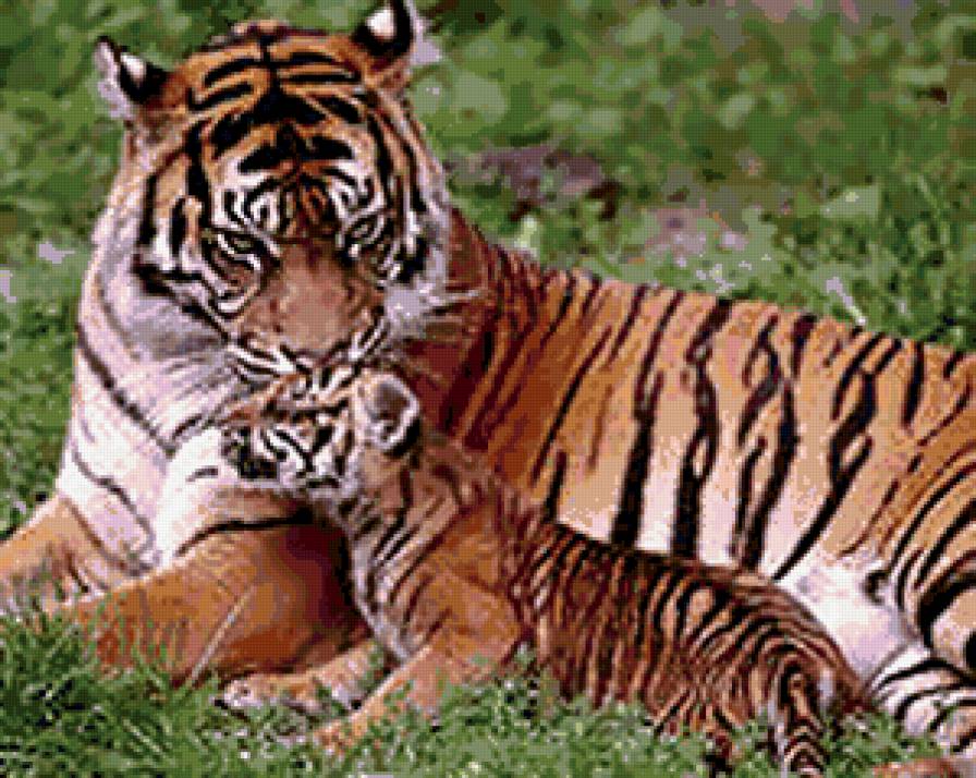 24 - предпросмотр