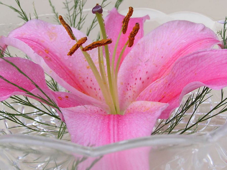 28 - цветы - оригинал