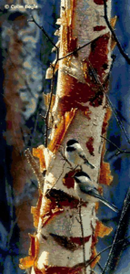 птички синички - картина, птицы - предпросмотр