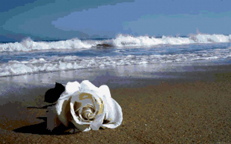 роза - предпросмотр