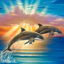 дельфины на закате