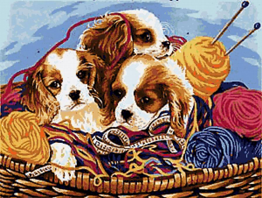 Собачки - предпросмотр