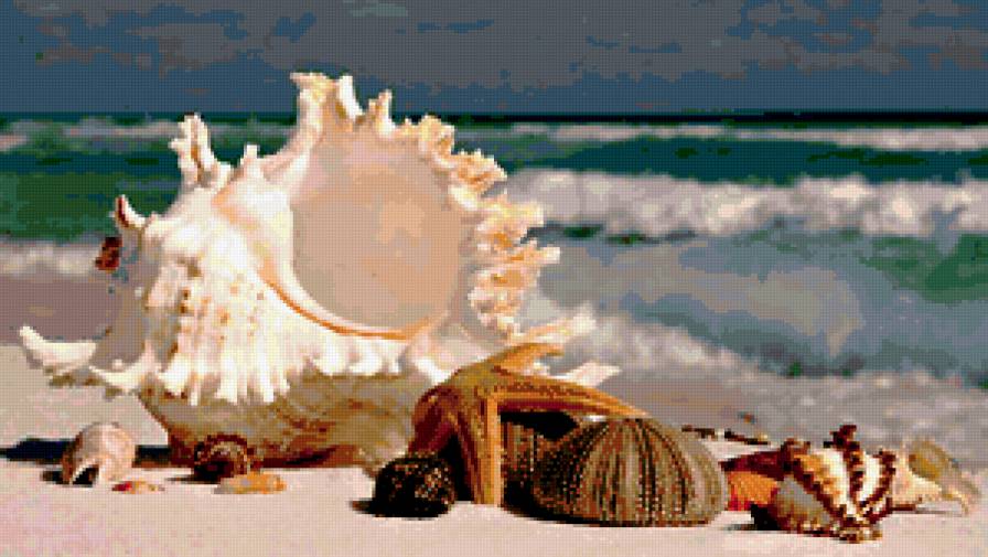 морские подарки - море - предпросмотр