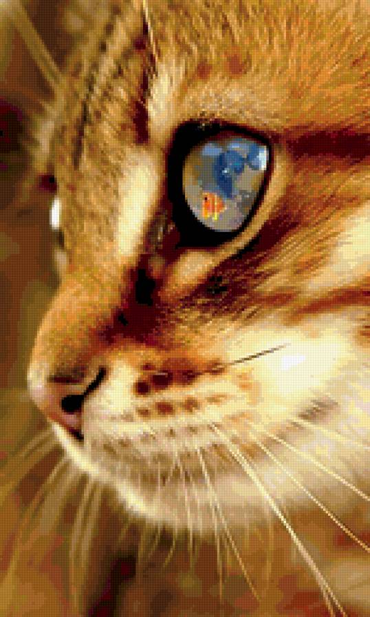 котенок3 - кошка, котенок, животное - предпросмотр