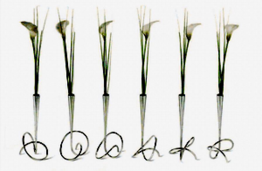 каллы. Ваза петля. - цветы, калла - предпросмотр