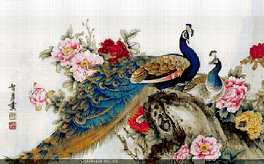 серия "птицы" - птица.павлин.цветы - предпросмотр