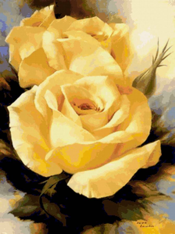 жёлтые розы - розы цветы - предпросмотр