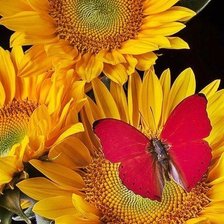 Схема вышивки «№199967»