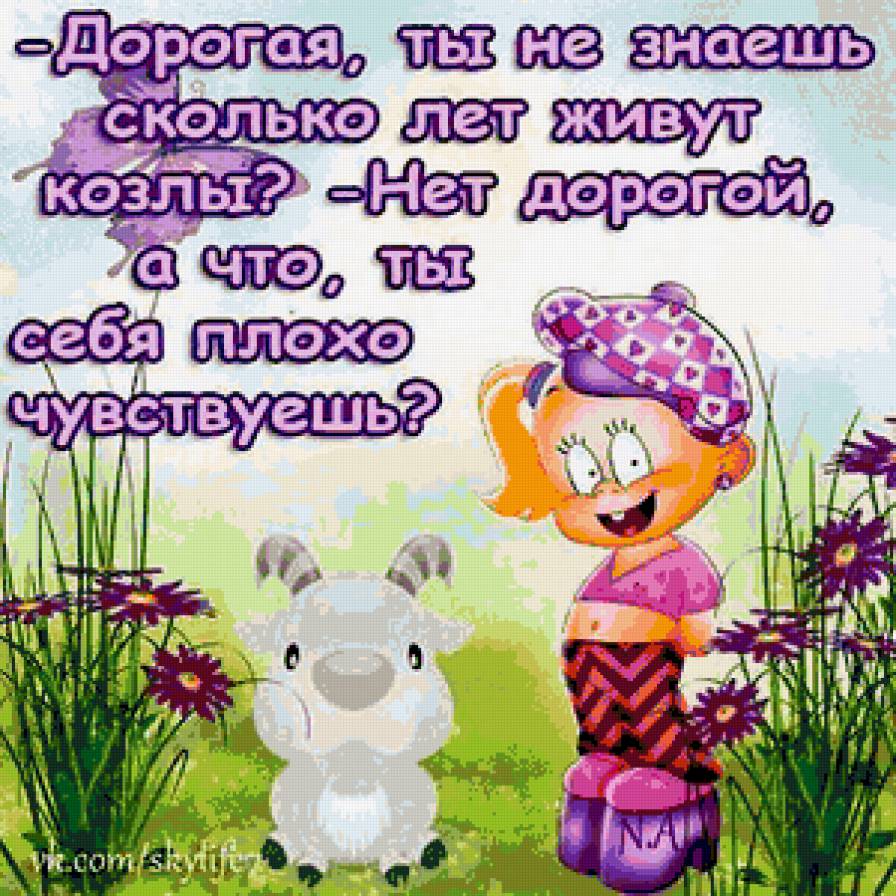 Прикол - юмор - предпросмотр