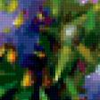 Предпросмотр схемы вышивки «Луговые цветы» (№200246)