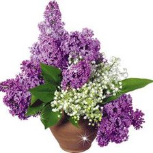 Схема вышивки «Букет»