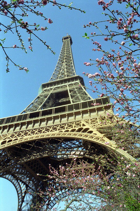 весна в париже - весна, эйфелева башня, париж - оригинал