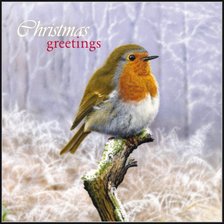 Схема вышивки «Рождественская малиновка»