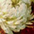 Предпросмотр схемы вышивки «Хризантемы» (№200638)