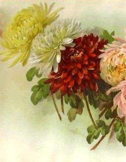 Хризантемы. Фрагмент 1 - картина, живопись, цветы, натюрморт - оригинал
