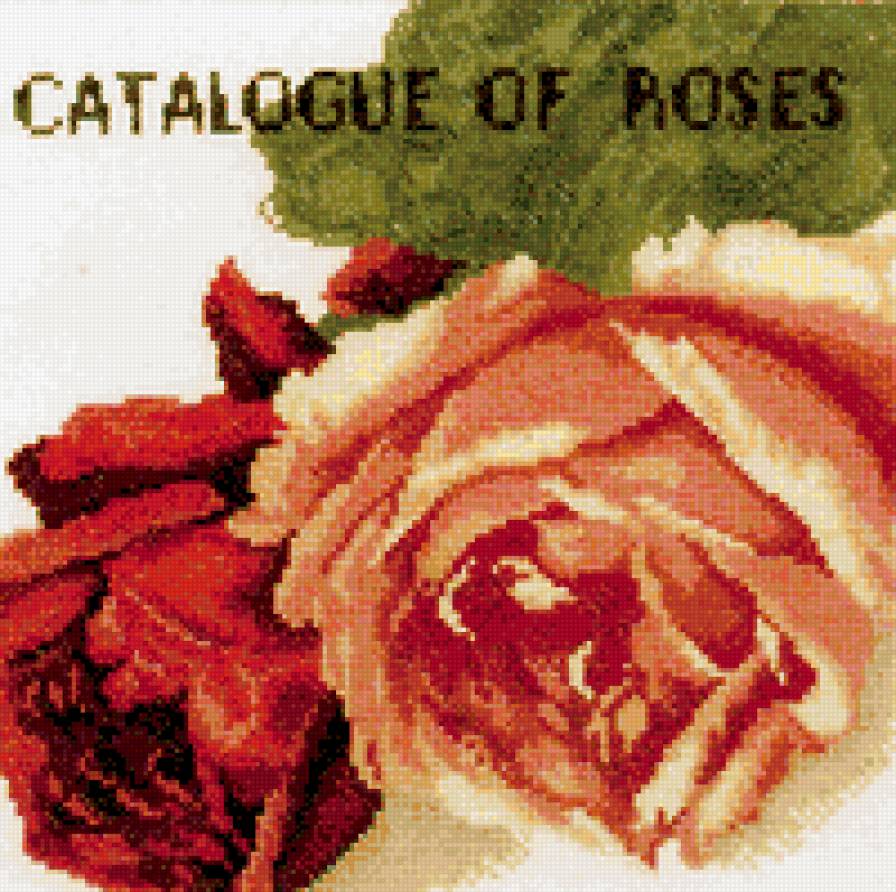 Роза - розы, цветы, винтаж - предпросмотр