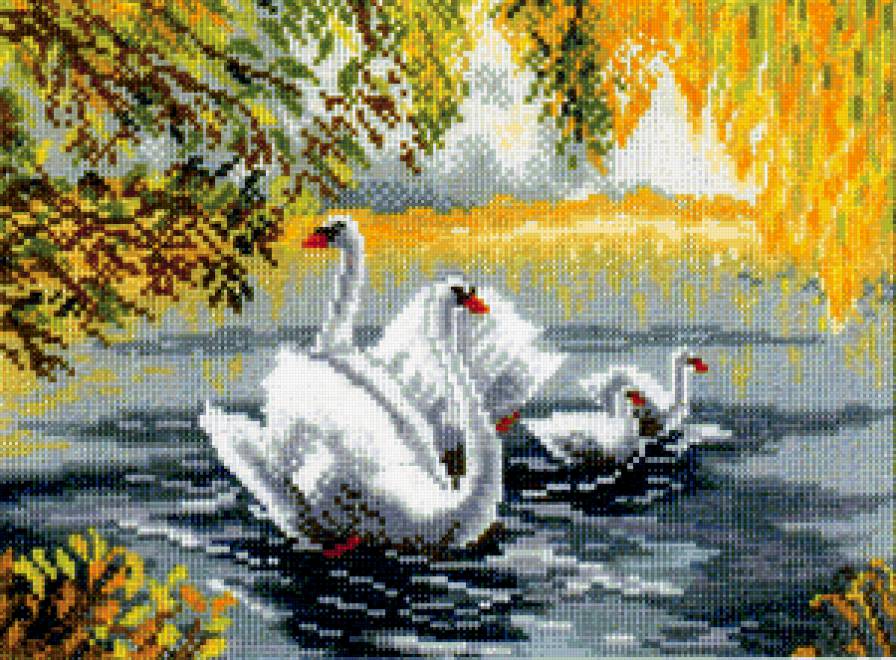 Лебединая семейка - осень, пейзаж, озеро, лебедь, семейка - предпросмотр