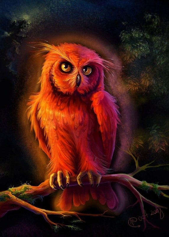 Сова - сова, филин, животные, сказка - оригинал