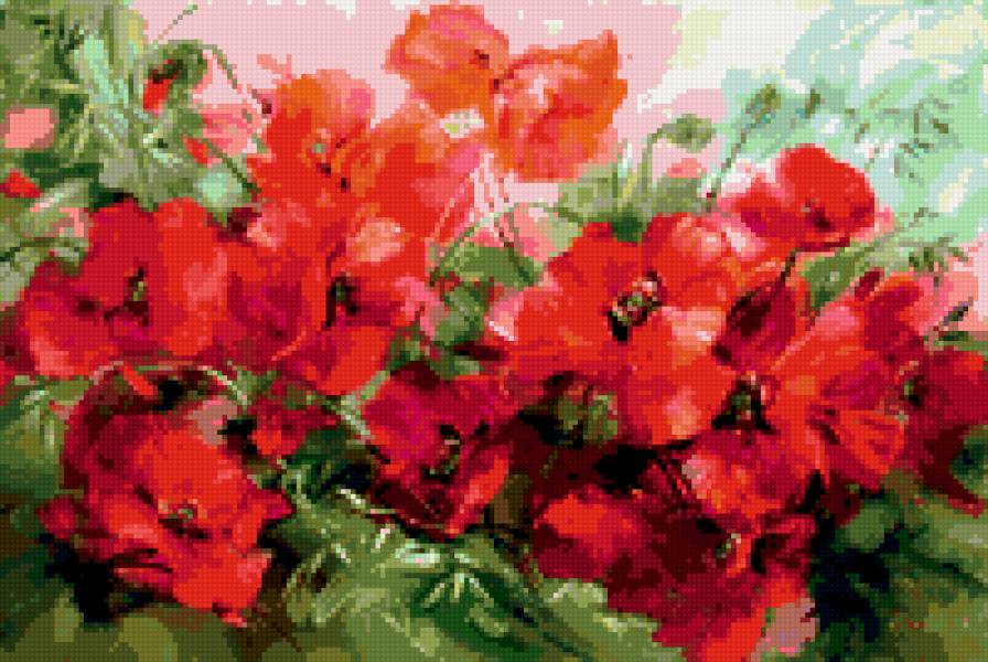 Маки - цветы, картина, мак - предпросмотр