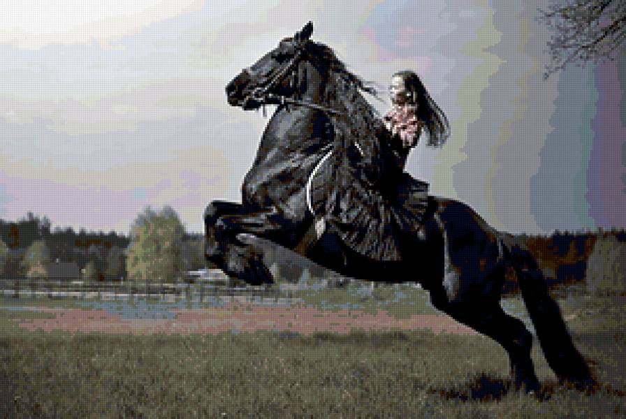 девочка на коне - лошади, конь, девочка - предпросмотр