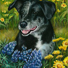 Схема вышивки «№201153»